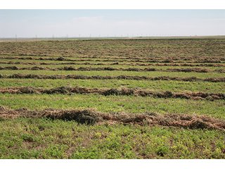 Property photo 119 - LAND AUCTION, 3255+/- Acres offered in 13 Tracts